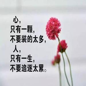 经典人生感悟：一盏指引明灯