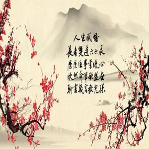 女人人生感悟的经典句子