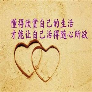 情感的舵手：人生感悟的精辟之句