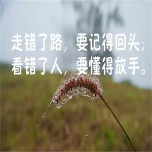 人生感悟：2019年的心灵之旅