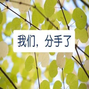 分手的原因：剖析人性中的复杂纠葛