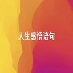 人生感悟:现实中的智慧之光